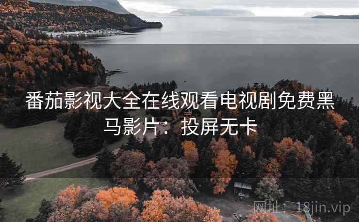 番茄影视大全在线观看电视剧免费黑马影片：投屏无卡